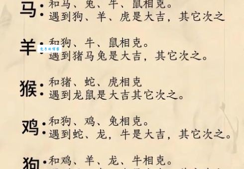 男欢女爱是什么生肖的秘密？看生肖找真爱！