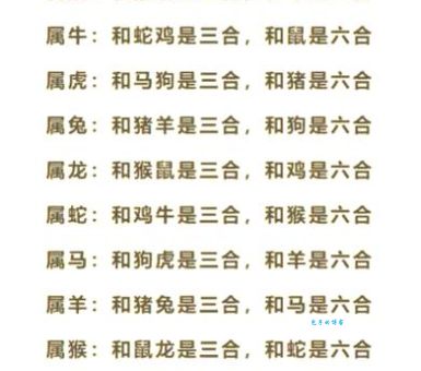 解析 一六连结来相帮打一正确生肖 的真正含义,别再猜错!
