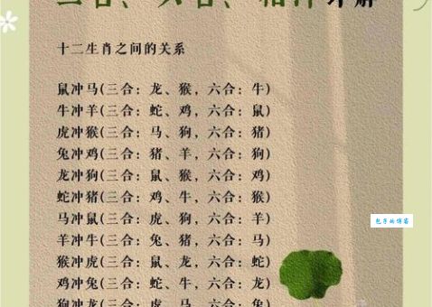 解析 一六连结来相帮打一正确生肖 的真正含义，别再猜错！