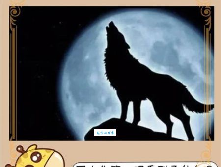 回头是岸打一个生肖，怎么猜才对？