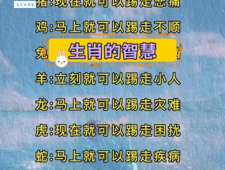 回头是岸打一个生肖，怎么猜才对？