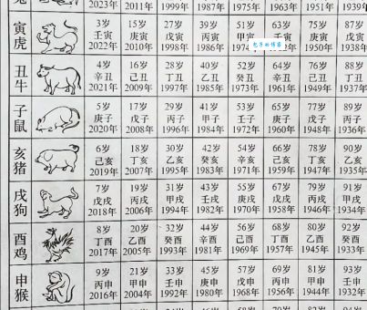 朝令夕改是什么生肖呢?快来看看你的生肖有没有!