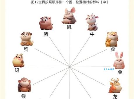 搞懂老调重弹指什么生肖，从此不再犯错！