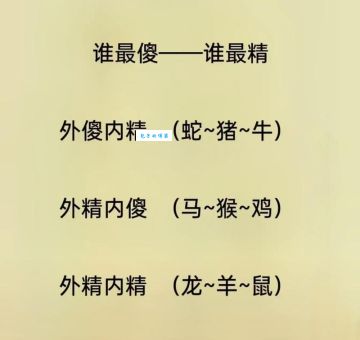 想知道顺风顺水打一准确生肖?答案在这里!