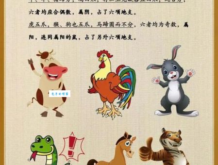 揭秘行头个胆却无细是什么生肖？答案就在这里！