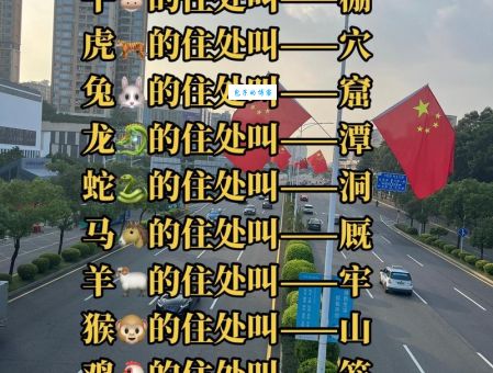 忠贞不渝打一准确生肖？答案揭晓让你大吃一惊！