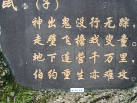 老话说的山南山北靡有定指的是什么生肖？一起来看看！