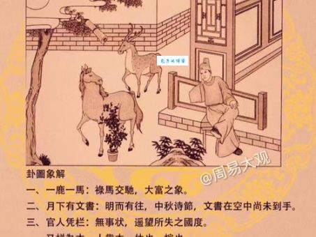 水来土掩红日升打一生肖到底是什么?生肖专家这样说!