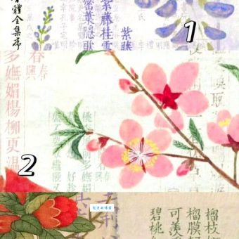 神秘步步为营生肖题，这样打就能知道答案！