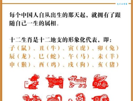 非亲非故是什么生肖?背后含义你都知道吗