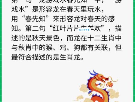 二七浪起龙舒甲与生肖的关系？专家为你解答！