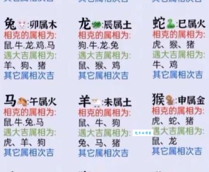 八字不合是什么生肖？这几个组合要小心了