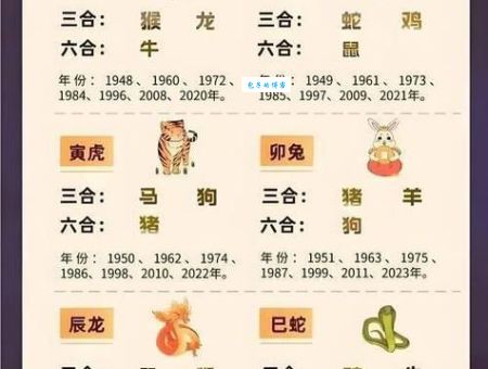 百爪挠心打一准确生肖是什么？快来看看正确答案吧！