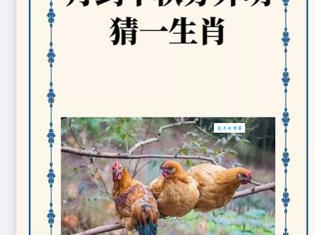 号天扣地打一准确生肖怎么猜？教你快速找到答案！