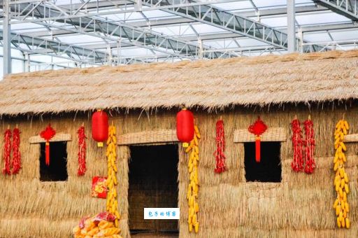 茅草沙土窝初生是什么生肖？看完这篇你就懂了！