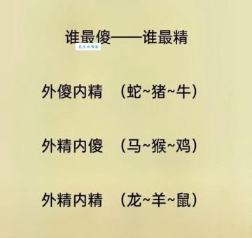 杯中之物打一正确生肖，别再瞎猜了，正确答案在这里！