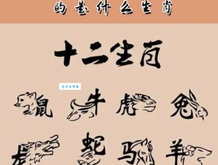 浩气长存是什么生肖？老一辈都说是这个！