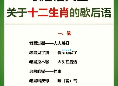 想知道无出其右是什么生肖？答案让你大吃一惊！