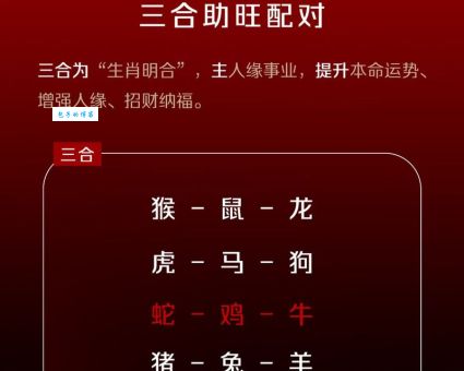 掌握约法三章定律害打正确生肖，让关系更和谐！