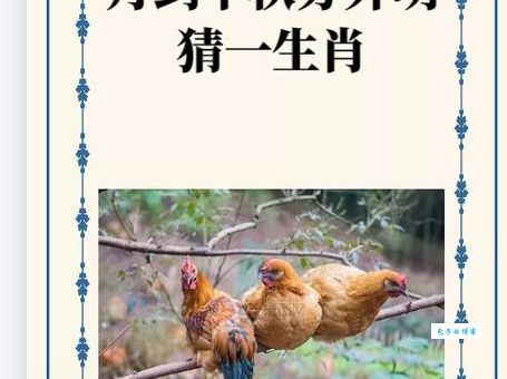 鸥水相依打一正确生肖，这样推理才能猜对！