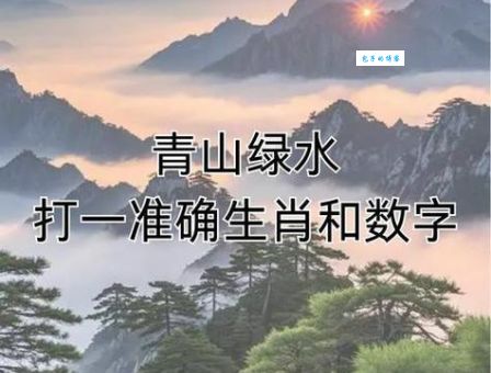 浮光掠影打一正确生肖答案公布，别再猜错了！
