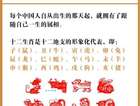 归心如飞指的是什么生肖？看看这个生肖的特点