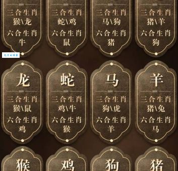 四次消息六更风是什么生肖?专家为你揭秘!