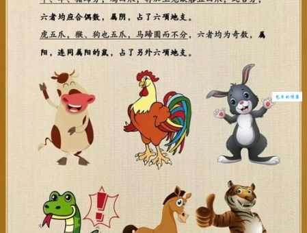 星罗棋布三大生肖：为何他们总是人群中的焦点？