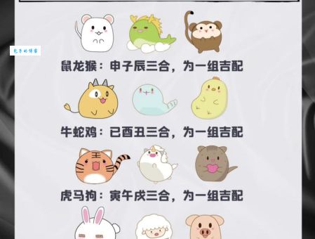 星罗棋布三大生肖：为何他们总是人群中的焦点？