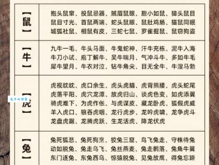 探究执两用中是什么生肖，传统智慧巧解谜题！