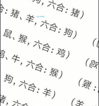 转轴拨弦二三声打一准确生肖答案是什么?