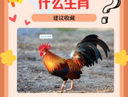 根壮叶茂打一准确生肖？聪明人一看就知道！