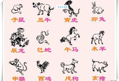 翻脸无情打一准确生肖是哪个？答案揭晓出乎意料！