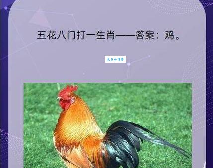 踏步不前打一正确生肖，快来为你揭晓神秘答案！