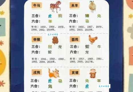 龟鹤之年打一正确生肖？猜对的人没几个！