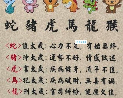 龟鹤之年打一正确生肖？猜对的人没几个！