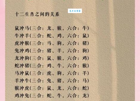 家徒四壁是什么生肖？了解它背后的真正答案！