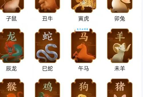 揭秘含瑕积垢代表什么生肖,别再猜错了!