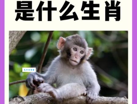 古语有云画虎画皮难画骨指什么生肖？看你怎么理解！