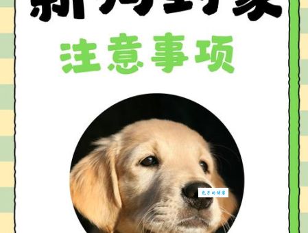 别错过狗窦大开最正确一肖！掌握这些让你好运连连！