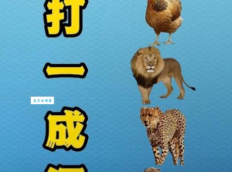 作舍道边打一个生肖,高手都是这样猜的!