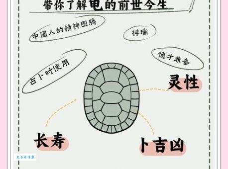 龟鹤之年指的是什么生肖？原来含义这么深远！