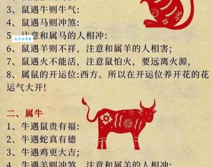 火中取栗是什么生肖呢?专家解读生肖里的深意!