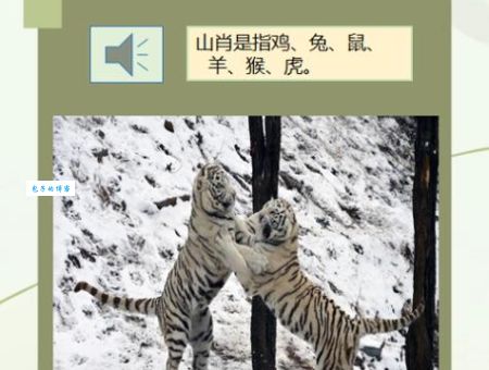 想知道胼手胝足是什么生肖吗？看完就知道了！