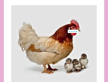 一行如画隔遥津打一准确生肖，猜猜看是哪个属相？