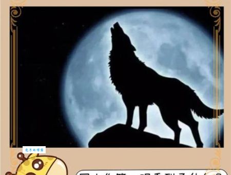 揭晓五更归时门卫在打的生肖,原来是这样理解的。