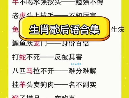 无动于衷打一正确生肖的谜底，原来是这个生肖啊！