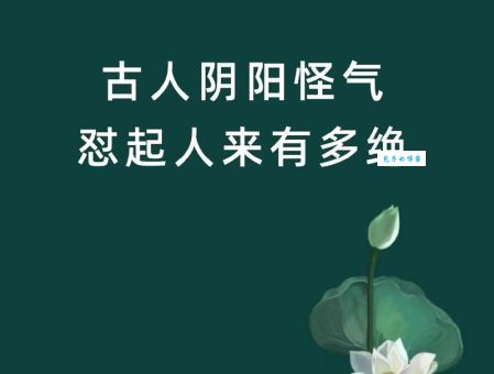 阴阳怪气打一生肖是啥意思？权威解读助你秒懂！