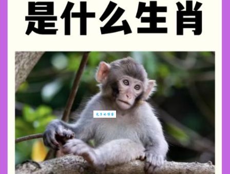 见风是雨猜一生肖：原来指的是这个生肖！