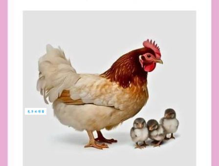 猜生肖谜语：鸥水相依打一准确生肖，你猜对了吗？